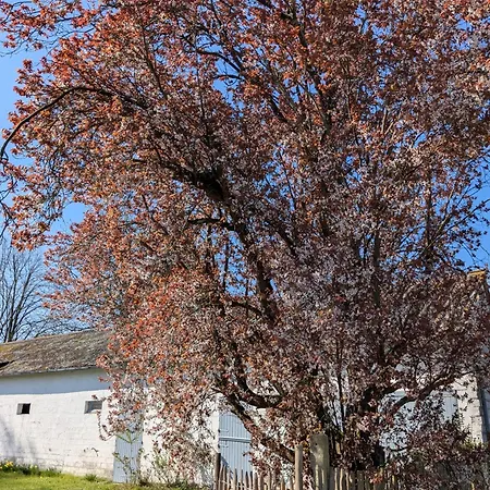 Hébergement de vacances Maison Familiale Au Coeur Du Marquenterre Saint-Quentin-en-Tourmont