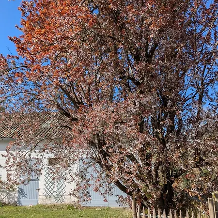 Maison Familiale Au Coeur Du Marquenterre Hébergement de vacances